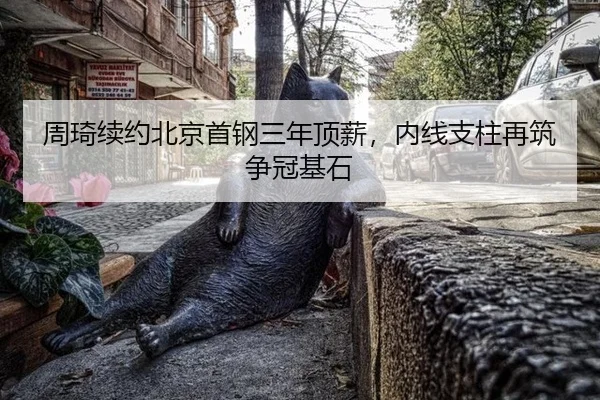 周琦续约北京首钢三年顶薪，内线支柱再筑争冠基石